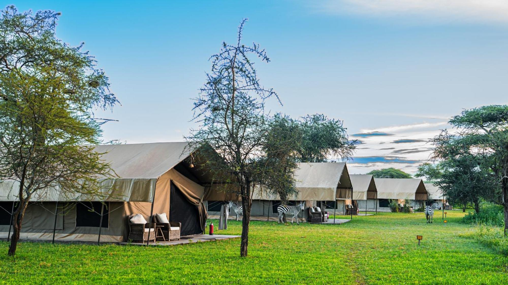 Africa Safari South Serengeti Ndutu Ngorongoro Sinoni Bagian luar foto
