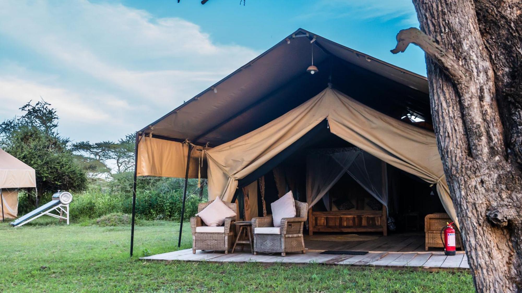 Africa Safari South Serengeti Ndutu Ngorongoro Sinoni Bagian luar foto