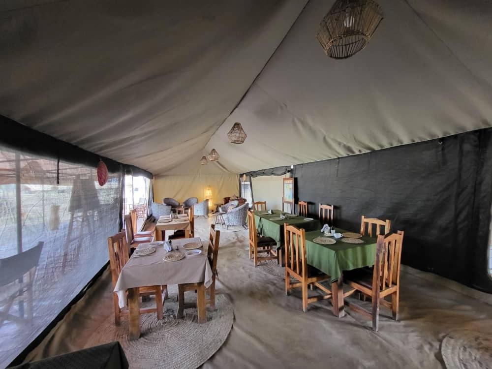 Africa Safari South Serengeti Ndutu Ngorongoro Sinoni Bagian luar foto